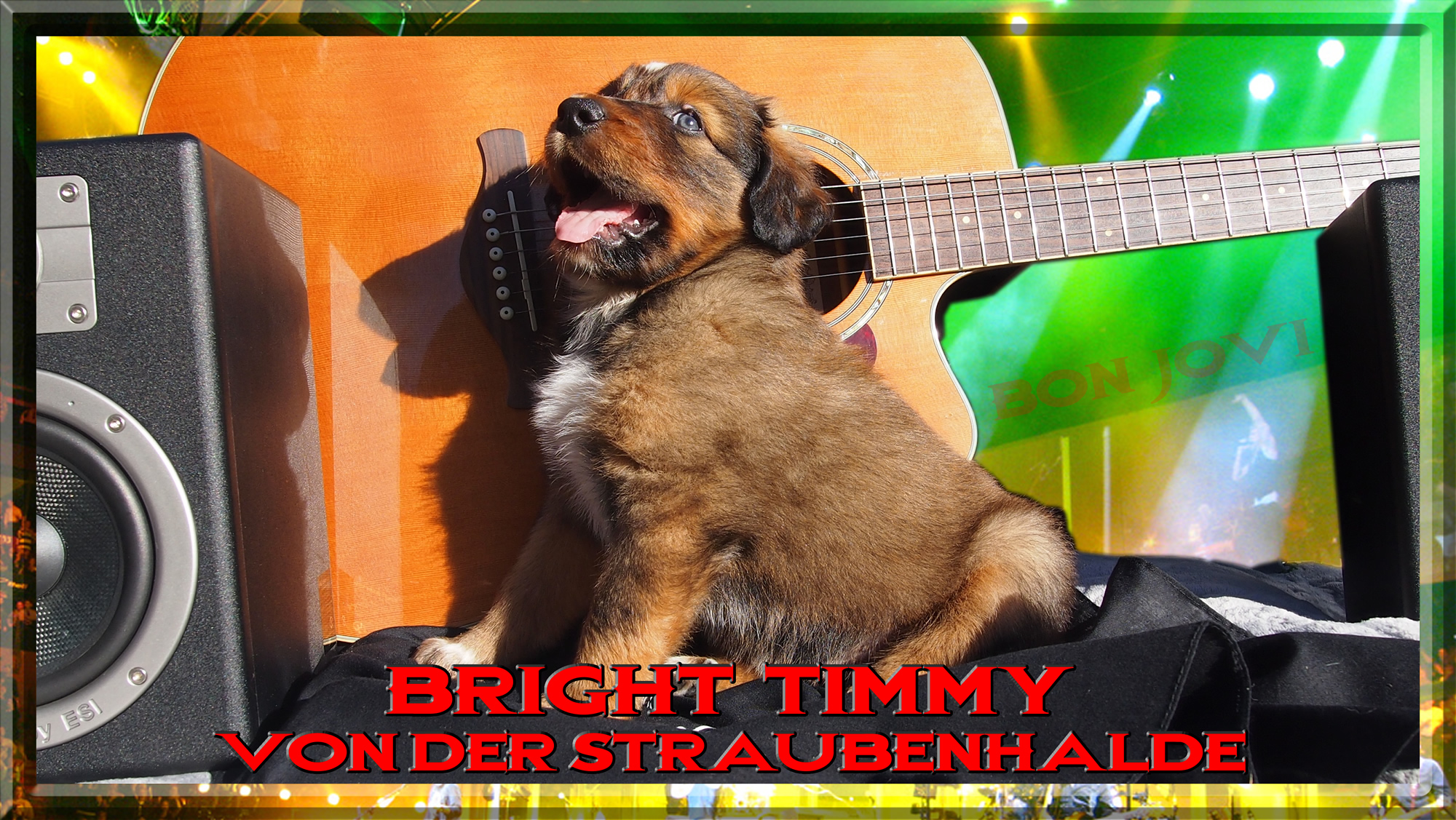 W&auml;ller von der Straubenhalde